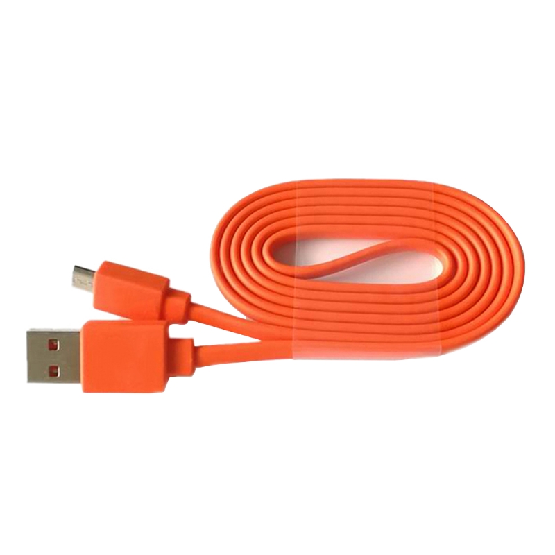 وصلة كابل شحن USB لـ JBL FLIP  - مراجعة Jbl Speaker Go 4 وسعره